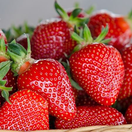 Vand stoloni capsuni Clery si Premial