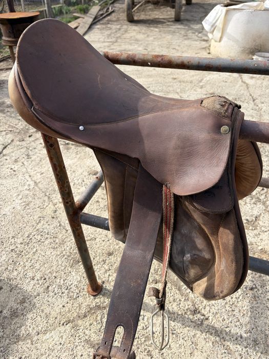 De vânzare, şei de echitație!