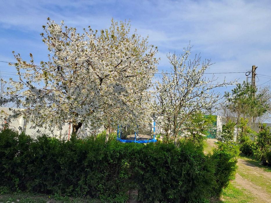 Proprietar – Gospodărie mare 5.600 mp, casă, livadă bogată, stupină și lac, com. Potlogi, Dambovita