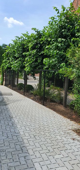 Stalpi gard de plasa impletita și panouri sudate