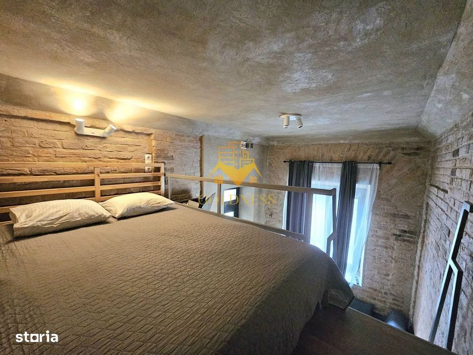 Studio tip loft, UltraCentral, Piața Muzeului, Piața Mihai Viteazul