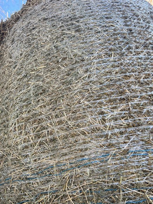 Baloti lucerna (transport contra cost motorina)