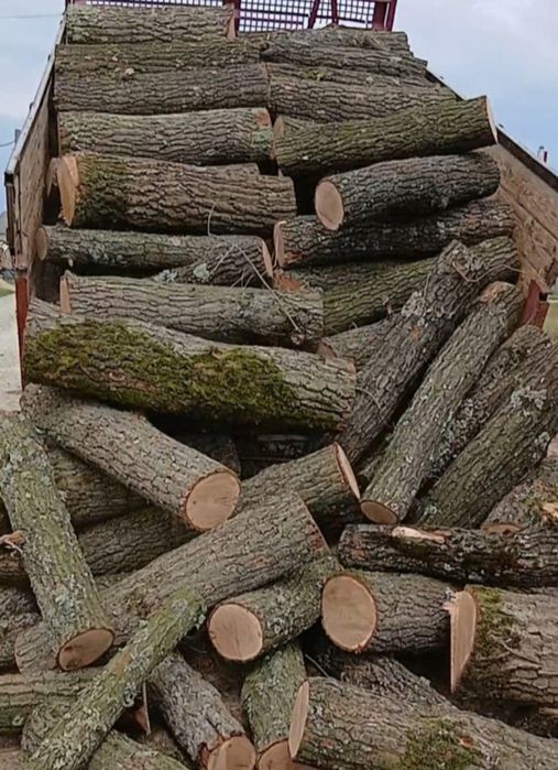 Vând lemne de foc esență tare