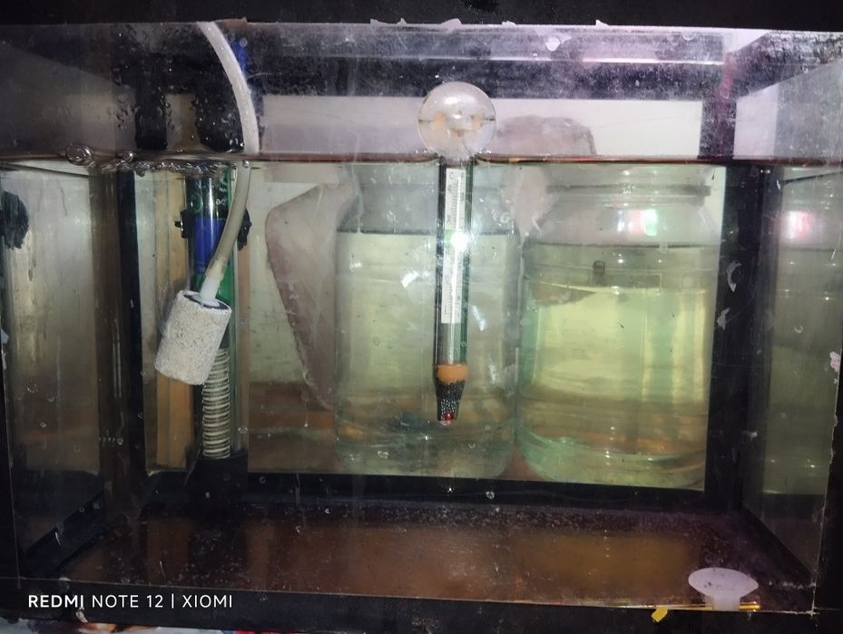 Akvariumlar sotiladi