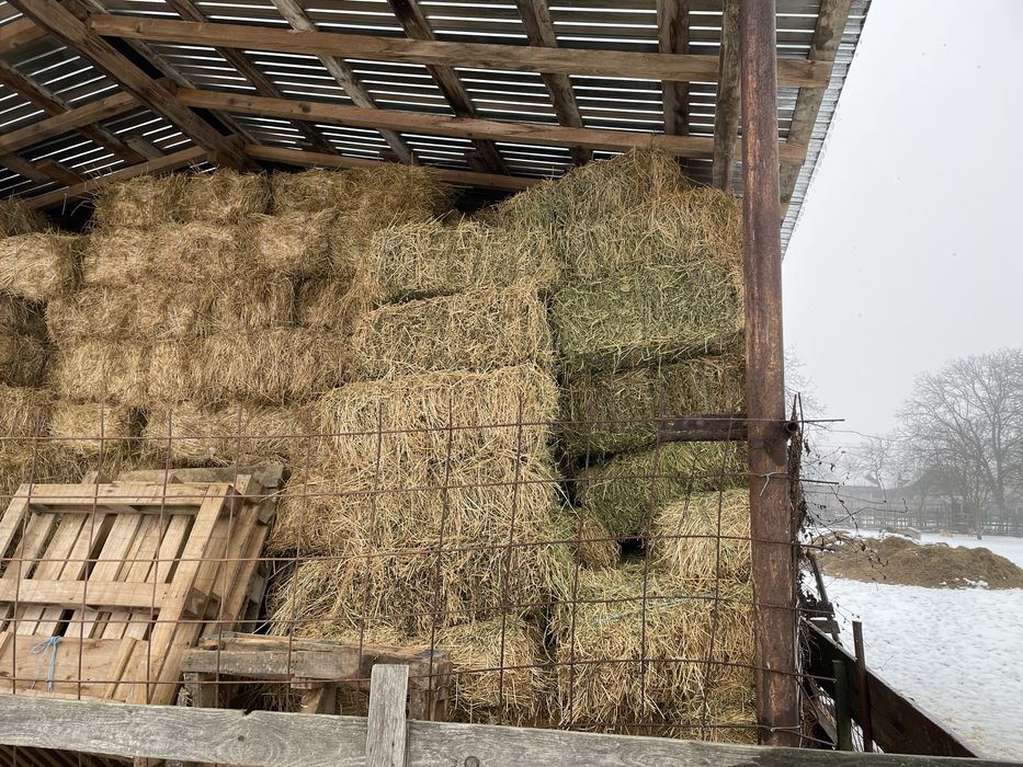 Dau la schimb 100 baloti