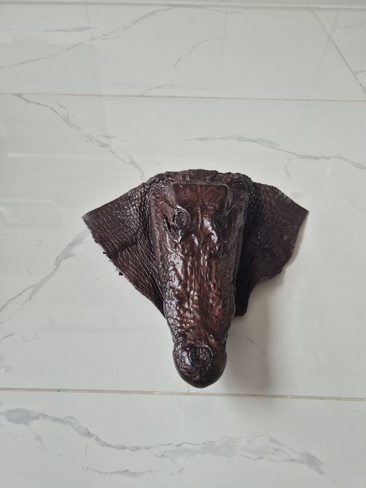 Продам кожу крокодила