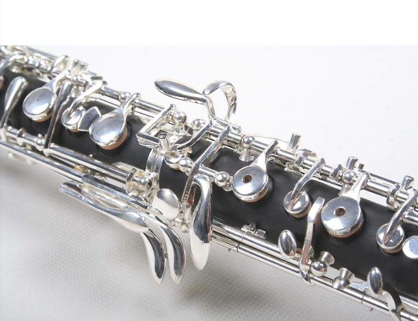 Instrument muzical oboe  NOU