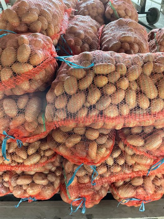 Cartofi pentru consum