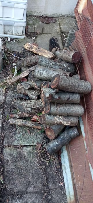 Дърва за огрев различни видове