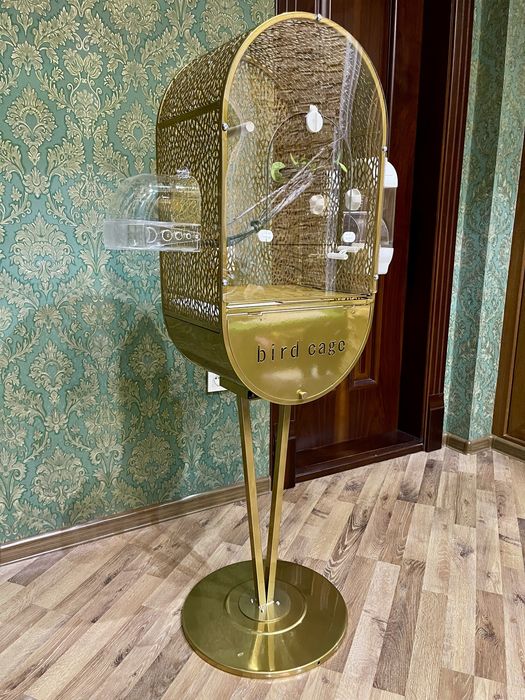 Qafas gold клетка