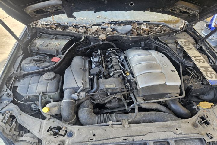Oglinda dreapta Mercedes-Benz C-Class 2002 C 200 CDI MT (116 hp)