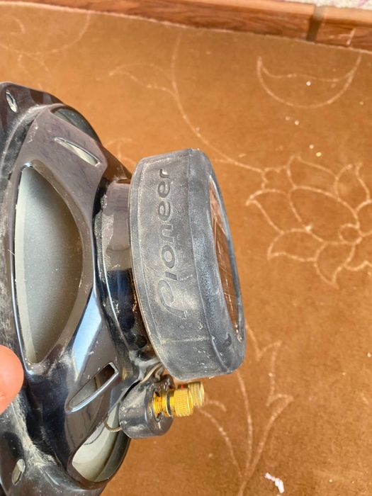 Pioneer kalonka, piyoner kalonka