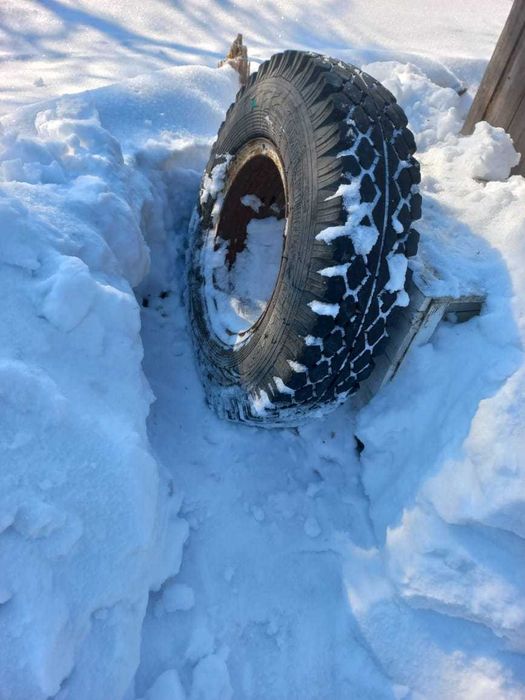Пчелопавильон. Прицеп для пчёл.