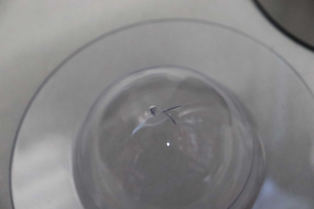 Преса за цитруси Russell Hobbs Classics, черна/сребриста, лек ДЕФЕКТ