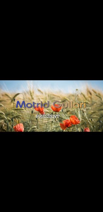 Райхон ва Бананза гуллари оптом нархда сотилади