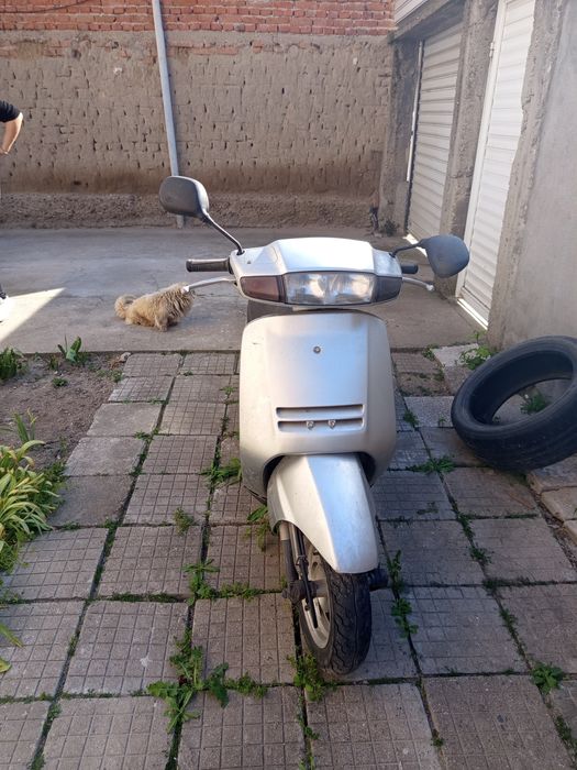Honda             lead