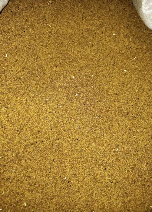 Жоңышқаұрық, люцерна, кльевер