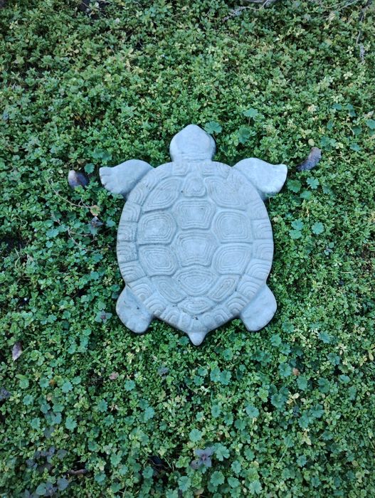 Костенурки от бетон