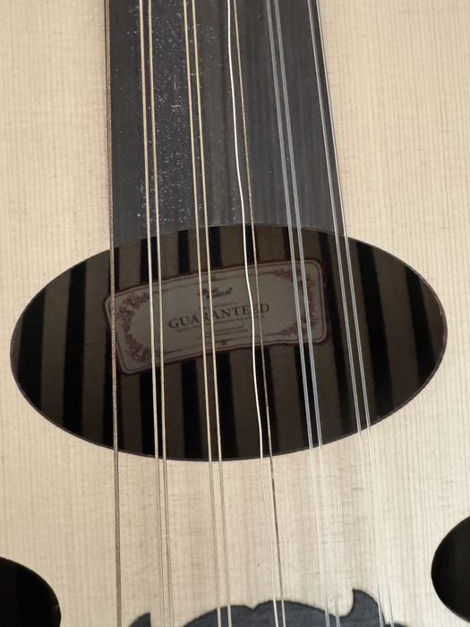 Oud turcesc 11 coarde