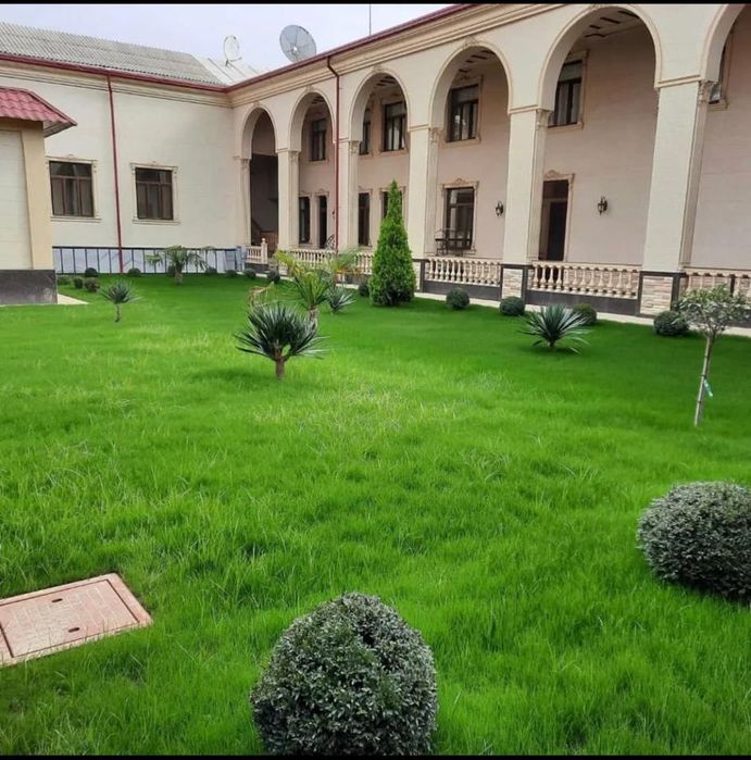 Газон автополив