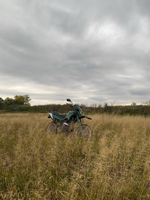 Racer Panther RC250GY-C2