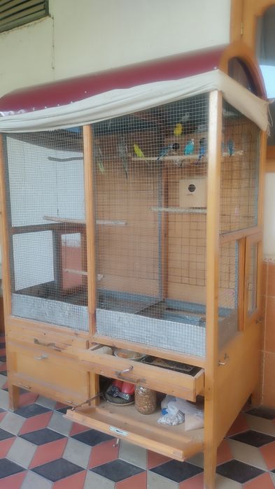 Корелла попугай уяси билан сотилади