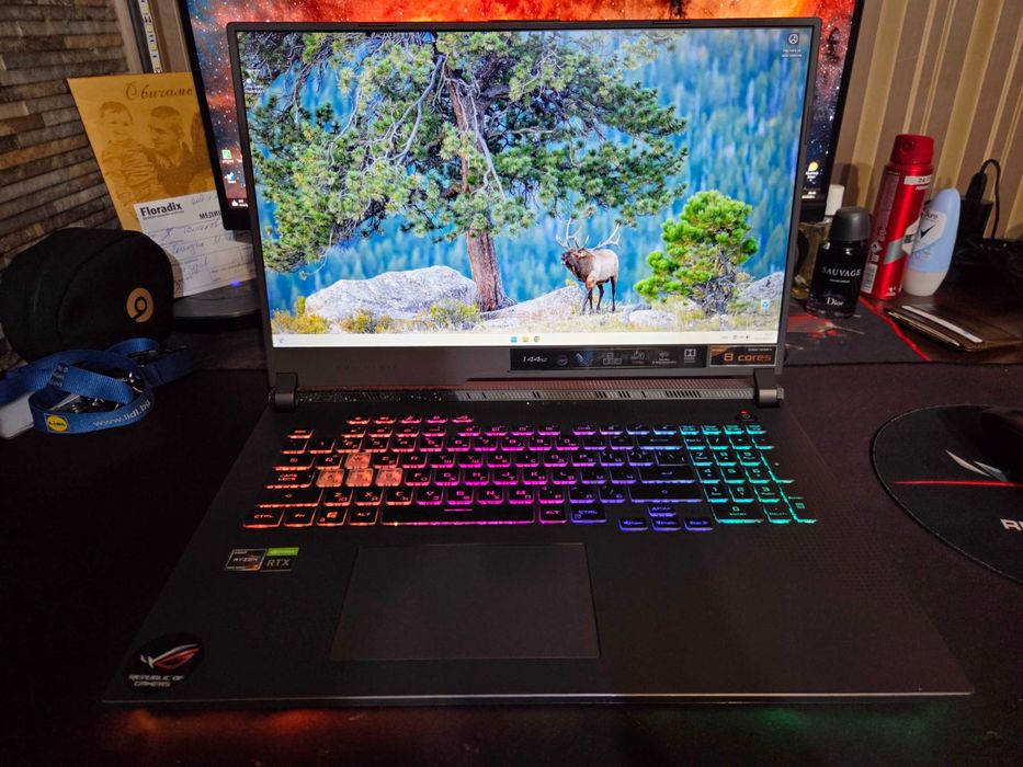 Asus Rog Strix G713