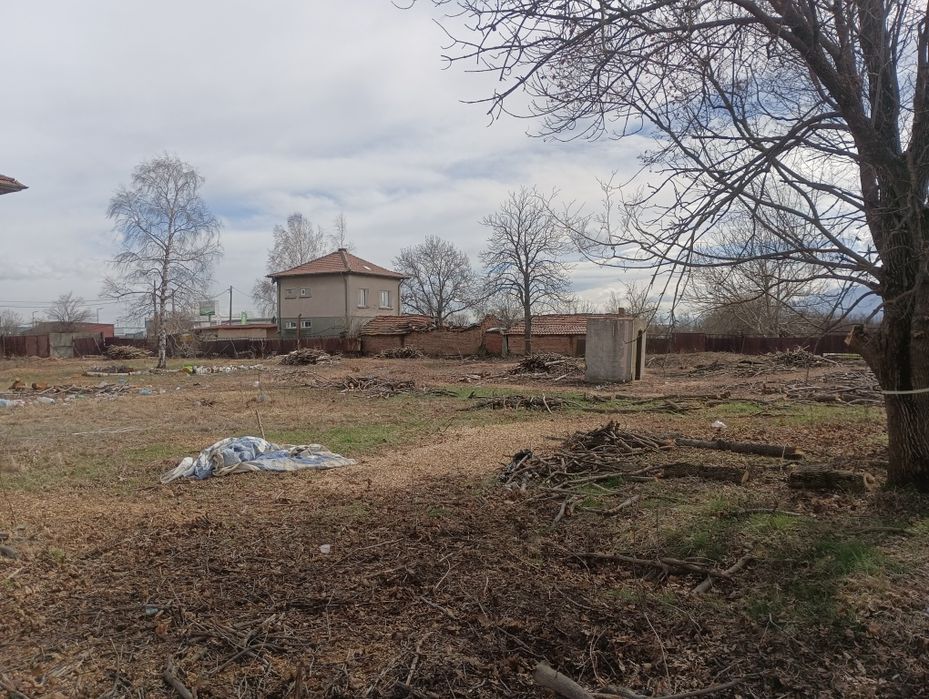 Почистване на запустели парцели и имоти