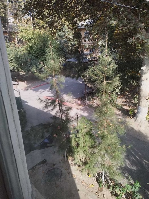 Квартира 3 комнатная Киргили Конечка