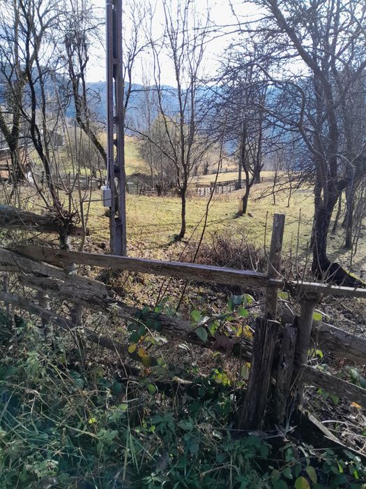 Teren cabana intravilan Albac 1400 mp CF panoramic