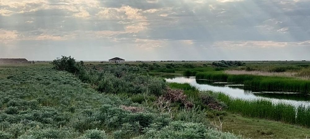 Сатылымда қожалық.