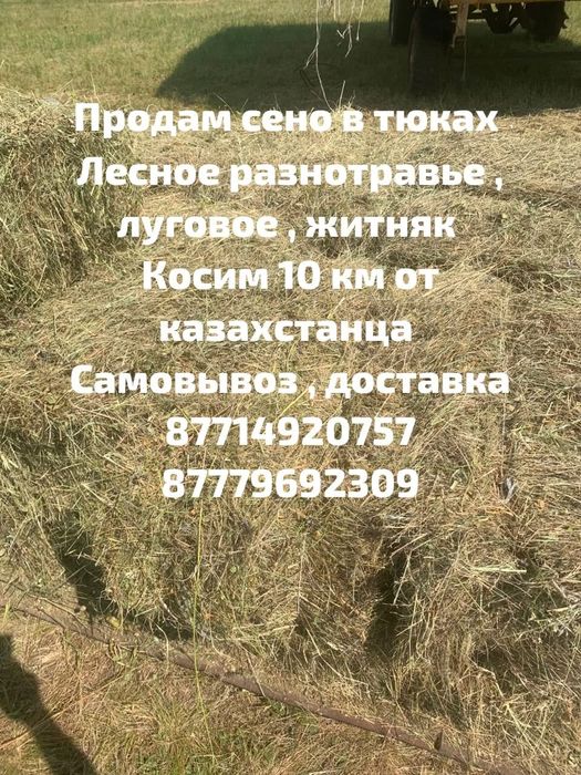 Продам . Сено в тюках