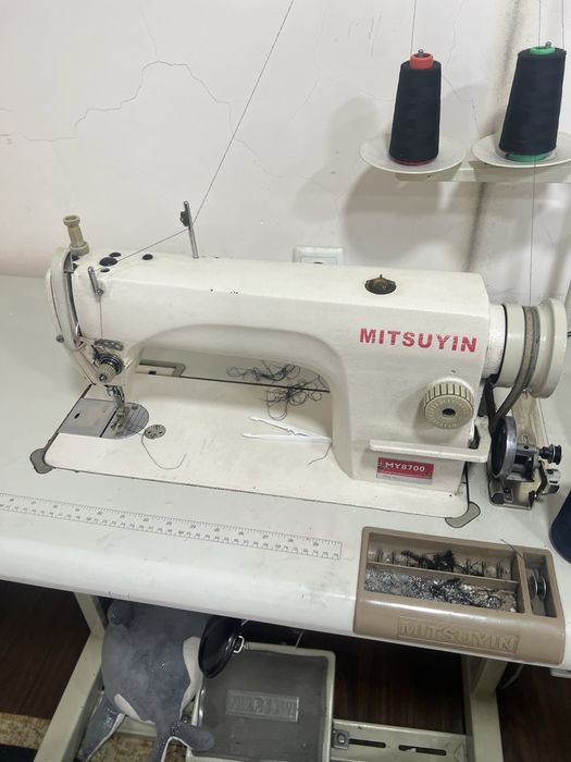 Rashma averlo togri chok