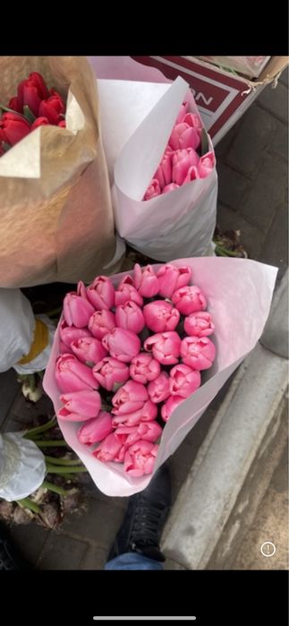 Тюльпаны оптом к 8 марта