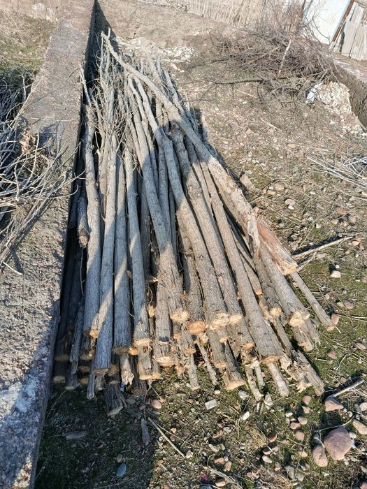 Тераклар ва утинлар сотилади.
Шахсий ховлида турибди.