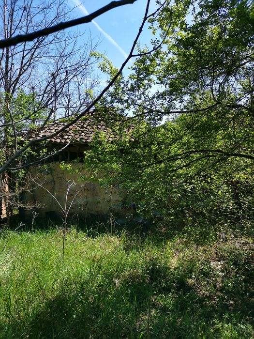 Дворно място със стара къща за събаряне в село Миндя