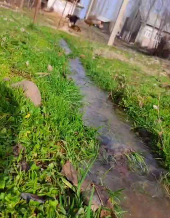 Dacha uchun zor joy