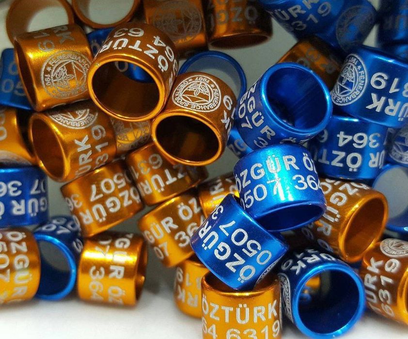 Барча кушлар калцо