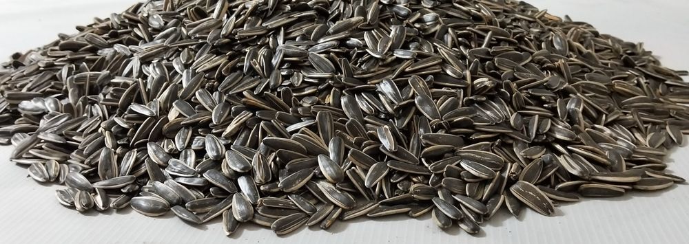 Семечки полосатые