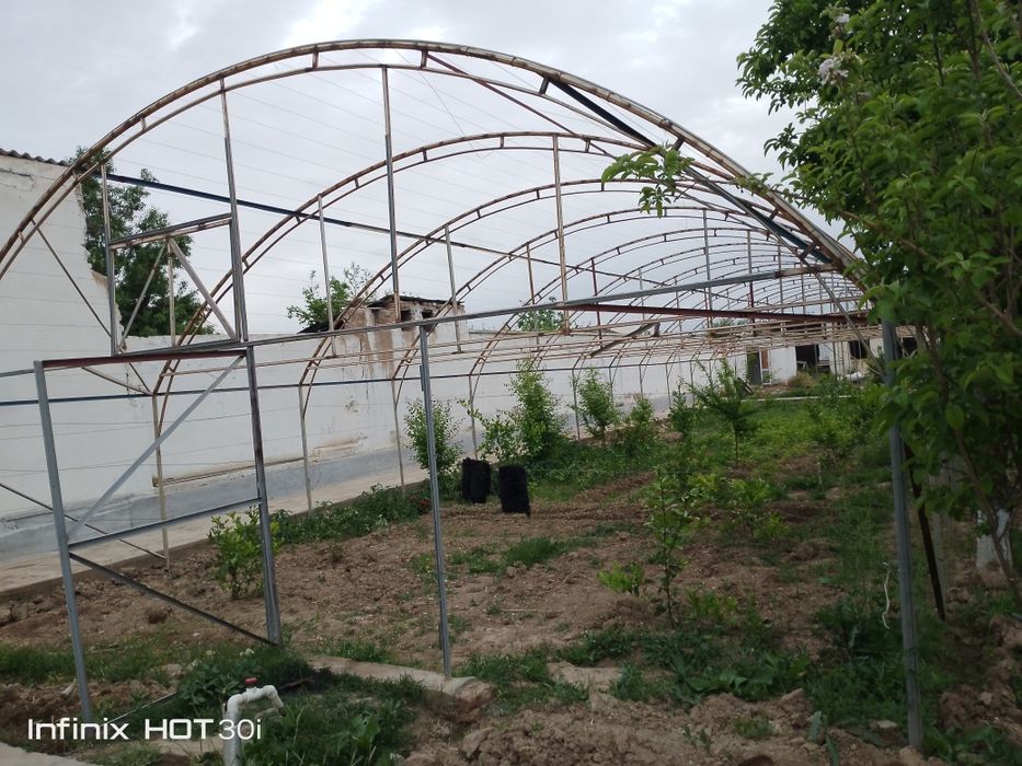 Типлица парник даромад