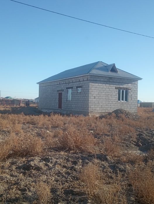 Времянка гигантта