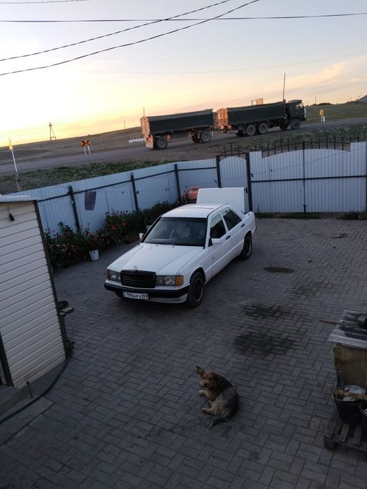 Mercedes Benz W201