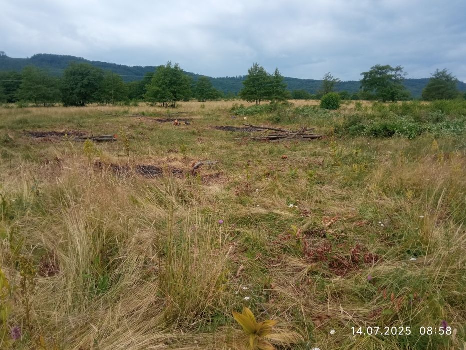 Vând teren extravilan