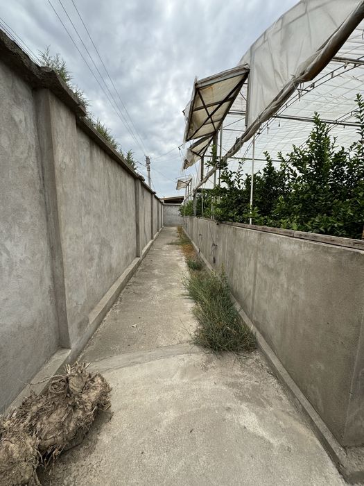 Недвижимость Политотдел