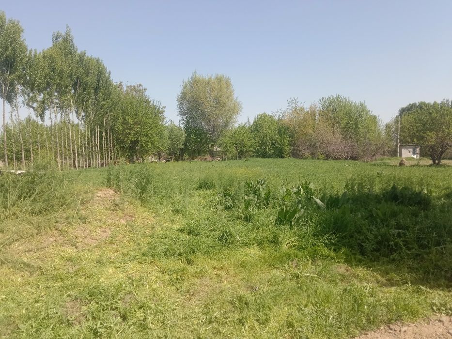 Срочна Уй сртилади