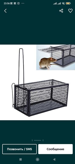 Jinsiy aloqa onamning dosti