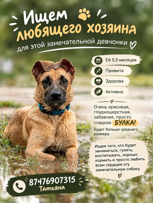 Ищем для Луизы ДОМ