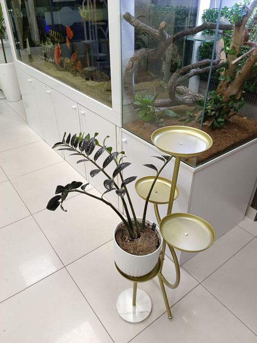 Новая железная подставка для растений, супер качество!