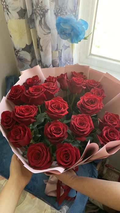 голландские розы 21штук