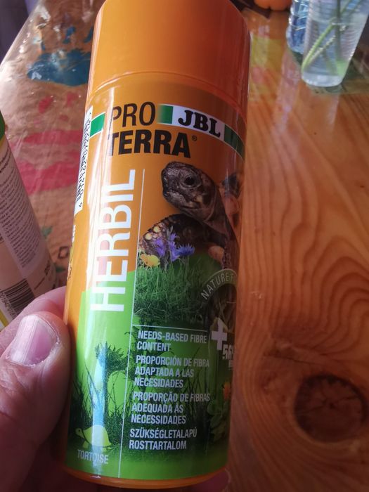 Храна за сухоземни костенурки